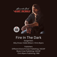 Fire In The Dark by Gary Nichols