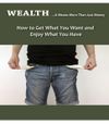 WEALTH...It Means More Than Just Money