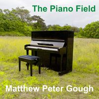 The Piano Field by Matthew Peter Gough