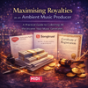 Maximising Royalties as an Ambient Music Producer