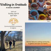 Walking in Gratitude: A Cacao Journey 🌿✨