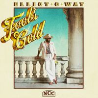 Fool's Gold by Elliot C Way