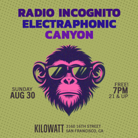 Canyon plus Radio Incognito and Electraphonic