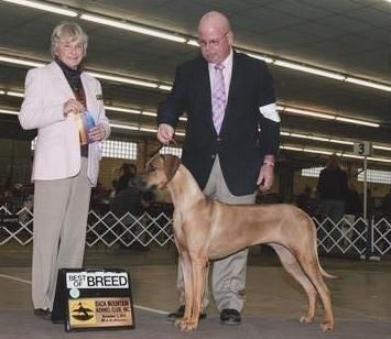 Najahari Rhodesian Ridgebacks