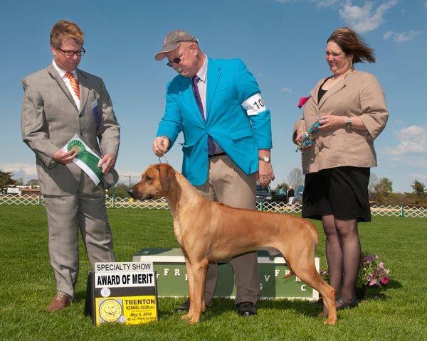 Najahari Rhodesian Ridgebacks