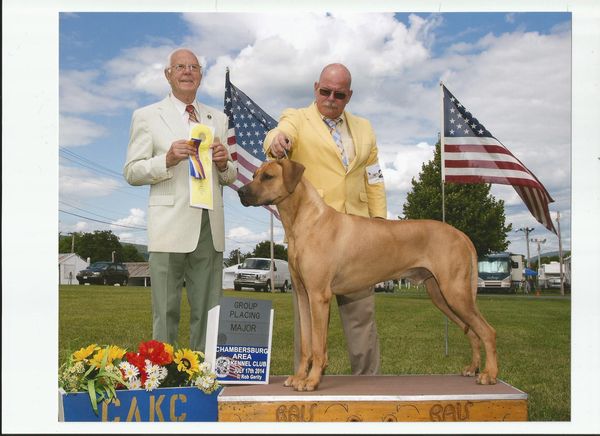 Najahari Rhodesian Ridgebacks
