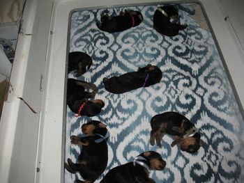 HOW BIG THEY HAVE GOTTEN!!!
