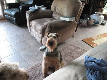 PATTY, SHE TO HAS A NEW DOO!!
