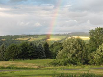 A WONDERUL DAY WHEN THE OUTCOME IS GREAT. A RAINBOW AWAITED OUR ARRIVAL HOME FROM THE VET
