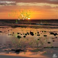 What you Know by Jono Blanshard