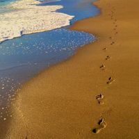 FOOTSTEPS by Slow Ballad / BPM 70 / 1 Full / 5 Alternate / 7 Stem Mixes