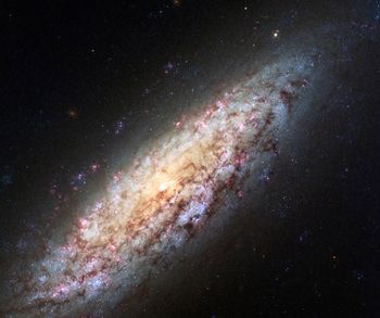 Local Void - NASA
