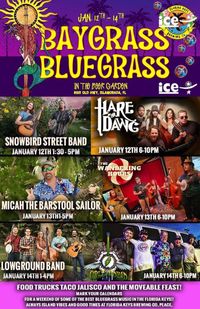 Bay Grass Bluegrass Festival 