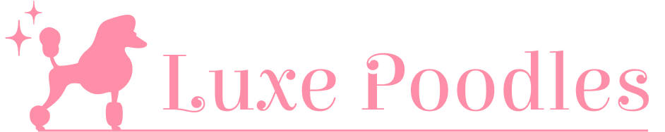 Luxe Poodles | Raising Family Pets & Working Dogs