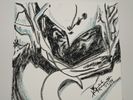 The MoonKnight 