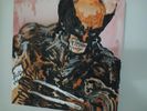 Wolverine 