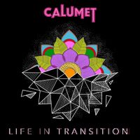 Life in Transition - CD