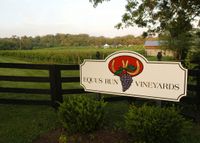Lisa Raymond Acoustic @ Equus Run Vineyards "Derby Eve Party"