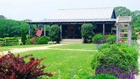 Lisa Raymond Acoustic @ Hidden Meadow's Vineyard & Winery 2022 Annual Customer Appreciation Day