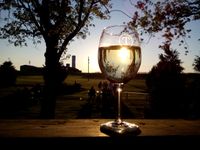 Lisa Raymond Acoustic @ Talon Winery (Lexington Location)