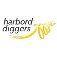 Ben Harris - at Harbord Diggers