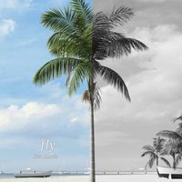 Fly by Ben Harris