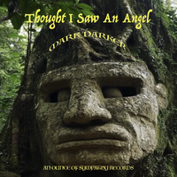 Thought I Saw An Angel by Mark Darker