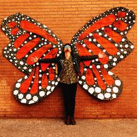 Monarch by Nico Miles