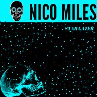 Stargazer by Nico Miles