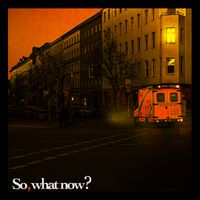 So, What Now? by The Usual Boys