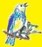 South Roscommon Singing Festival