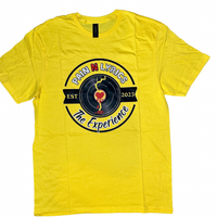 Pain N Lyrics: The Experience T-Shirt (Energy)