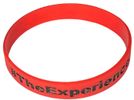 The Experience Wrist Band