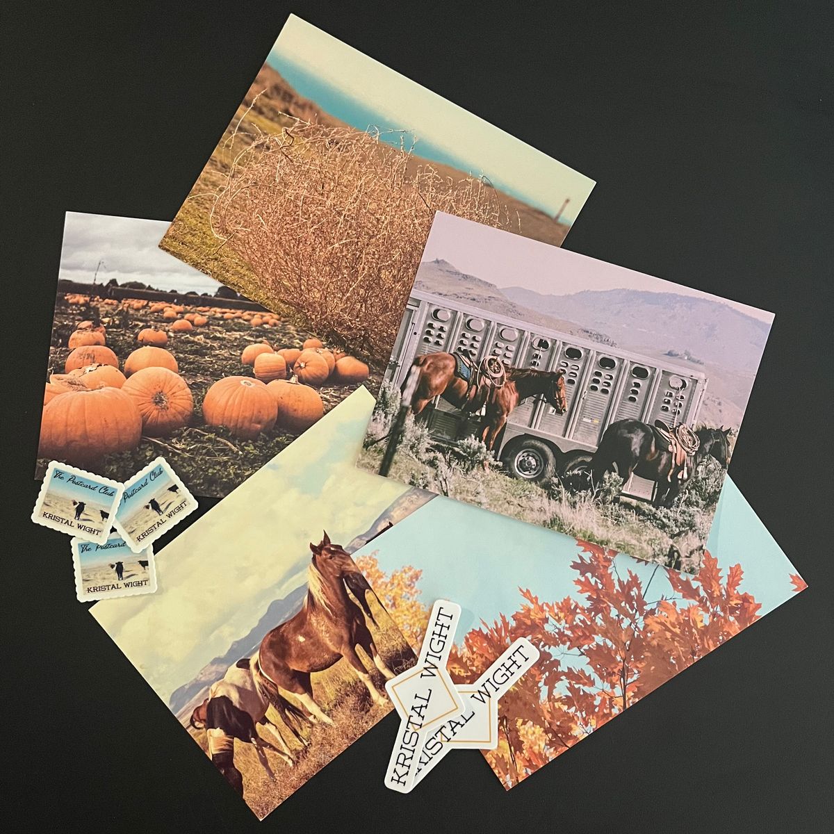 The Postcard Club Pack