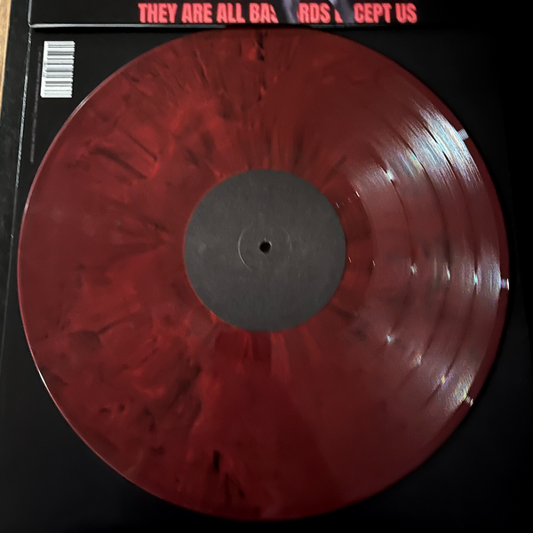 THEY ARE ALL BASTARDS EXCEPT US - Vinyl