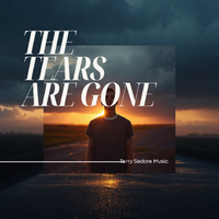The Tears Are Gone by Terry Sedore