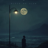 Bleed Me Slow by Terry Sedore