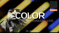  “Color” 