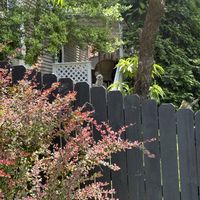I'd Get Along With My Neighbors (If They Didn't Live Next Door) by David Holloway 10KBand