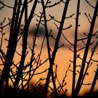 Breezy Refuge by Flights Of Mind