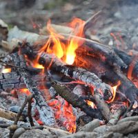 A Crackling Fire by Flights Of Mind