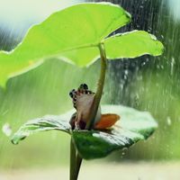 Restful Rainy Day by Flights Of Mind