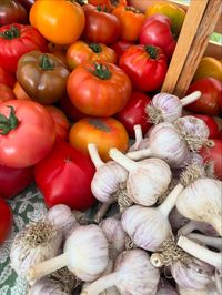Live at Canaan Farmer's Market