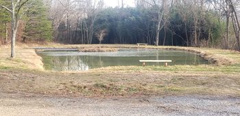 the farm pond right after we dug it
