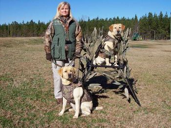 Angie, Roxy and Grace during a Retriever Demonstration at the Bull Bay Farms/Wildlife Action Youth Duck Hunt.
