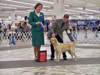 Grace made her Show Debut in Atlanta in September, 2009. She won her class on Saturday and Sunday and went Reserve Winner on Saturday. See "Brags" page for details.
