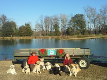 11-29-13  This year's CHRISTmas card photo had a few more faces.  Last year we had 4 little pups in the picture.  What a difference a year makes.
