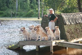 OK, who wants to go first? Photo by Wendy White.
