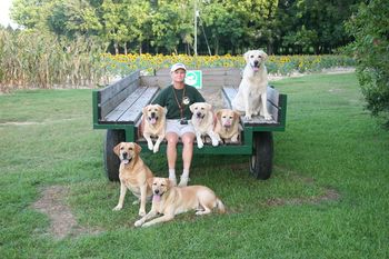 The Mellow Yellow Crew. Photo by Wendy White.
