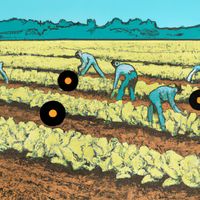 Label Plantation by The Man